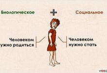 Photo of Человек: биосоциальное существо