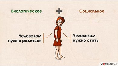 Photo of Человек: биосоциальное существо