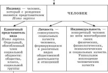 Photo of Стратегии раскрытия своей социальной сущности