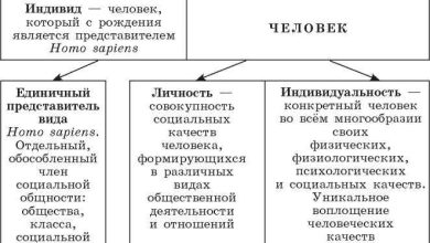Photo of Стратегии раскрытия своей социальной сущности