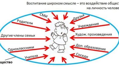 Photo of Влияние общества на человека
