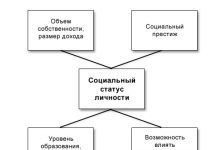Photo of Социальные роли в жизни человека