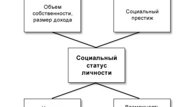 Photo of Социальные роли в жизни человека
