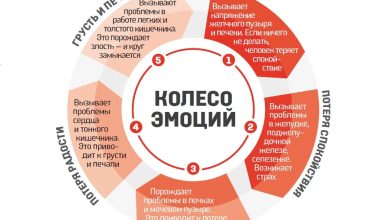 Photo of Эмоции и их влияние на здоровье