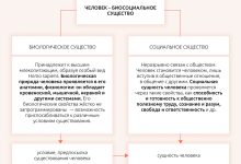 Photo of Биосоциальное развитие личности