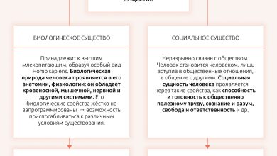 Photo of Биосоциальное развитие личности