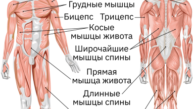 Photo of Общество и биология человека