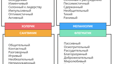 Photo of Как быть общительным и непринужденным