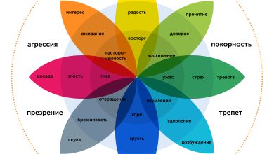 Photo of Эмоции как способ выражения себя