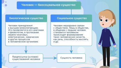 Photo of Человек: социальное и биологическое