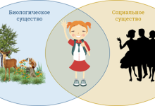 Photo of Человек и его социальное окружение