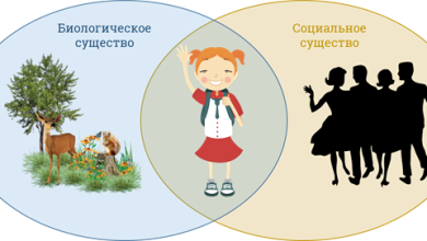 Photo of Человек и его социальное окружение
